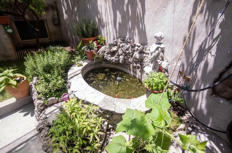 Apartmani Marko Makarska Exterior foto